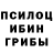 Псилоцибиновые грибы Magic Shrooms Suriya Klahan