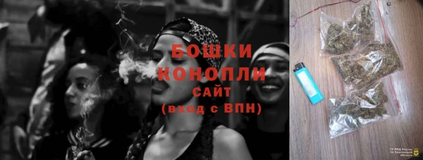 шишки Нефтегорск