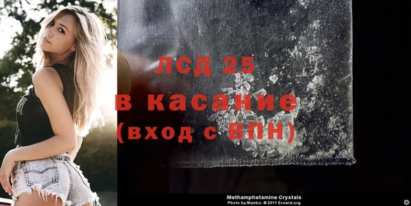 стафф Алзамай