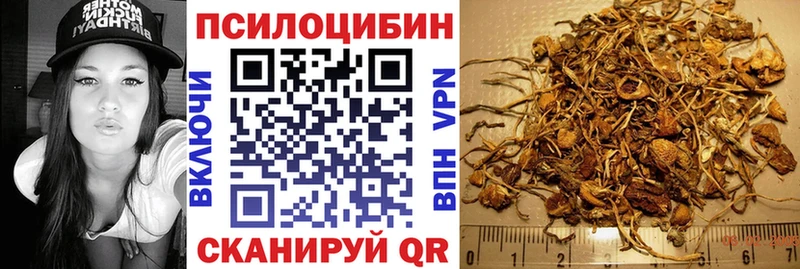 Галлюциногенные грибы мицелий  где найти наркотики  МЕГА рабочий сайт  Чапаевск 